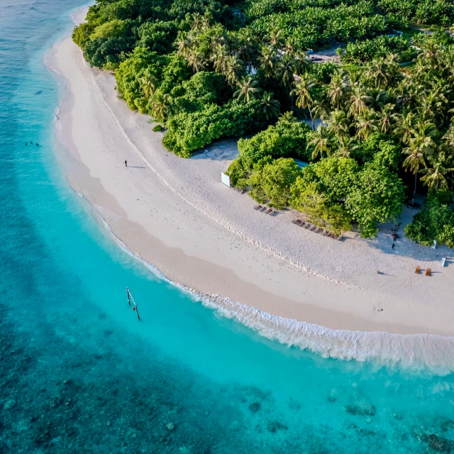 an island with people walking on the sand and palm trees in front