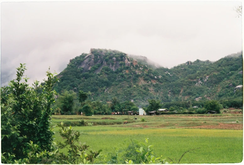 a mountain with some trees near by