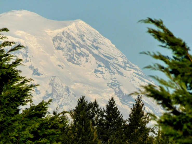 the top of a snowy mountain viewed through some trees