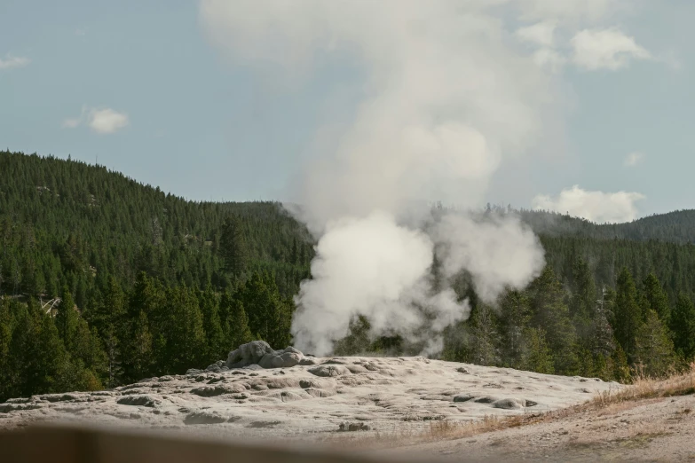 an old - fashioned steam plant spewing out steam in a forest