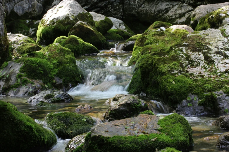 the rocks covered with moss and water are in the stream