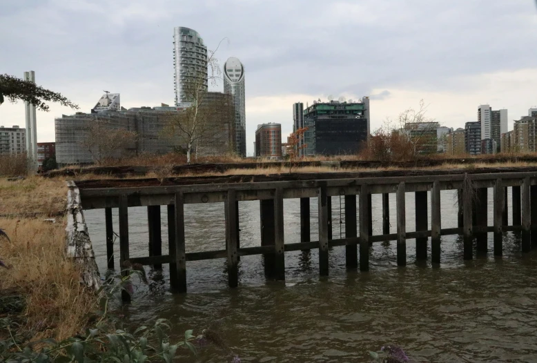 a large city is in the distance by a body of water