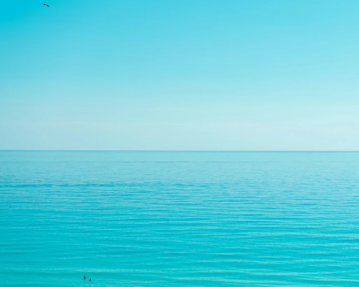 a bird flying above the ocean under a bright blue sky