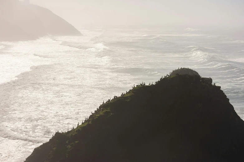 a hill with birds perched on it in the middle of the ocean