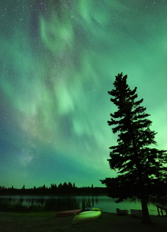 a sky full of stars and some trees with a body of water