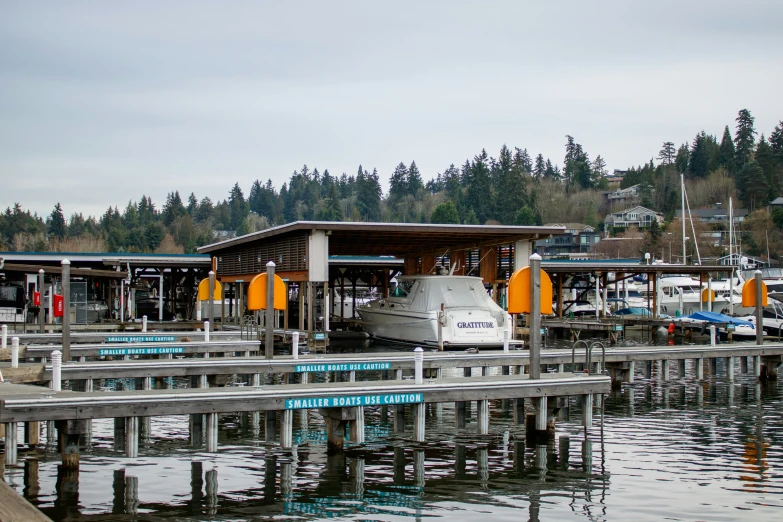 boats in the harbor near the pier and dock