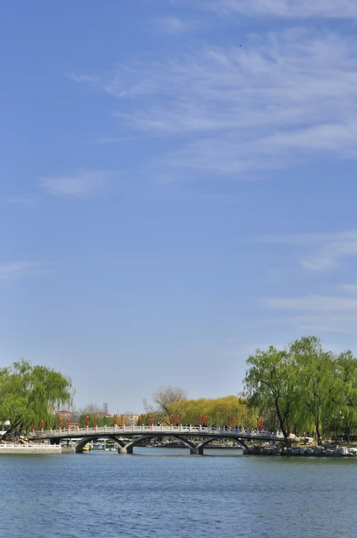 a bridge and a bunch of trees over a lake