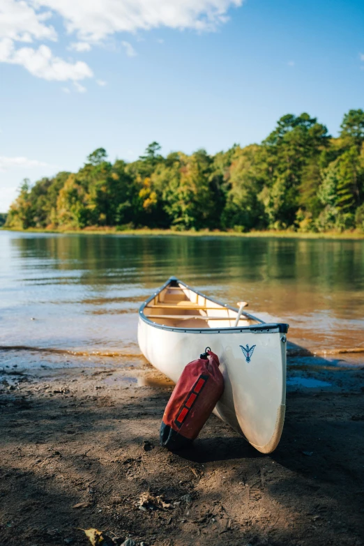 a boat with a paddle is on the shore