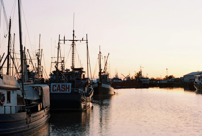 several boats are lined up in the dock