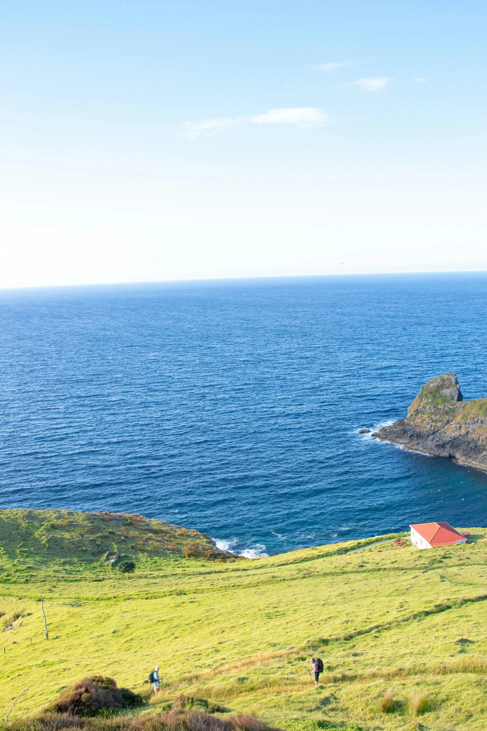 two sheep grazing on grass by the ocean