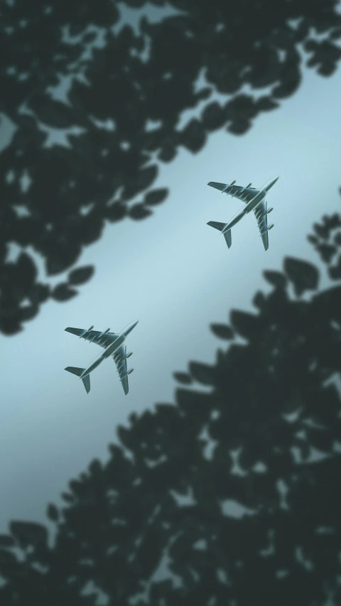 looking up at planes passing each other in the sky
