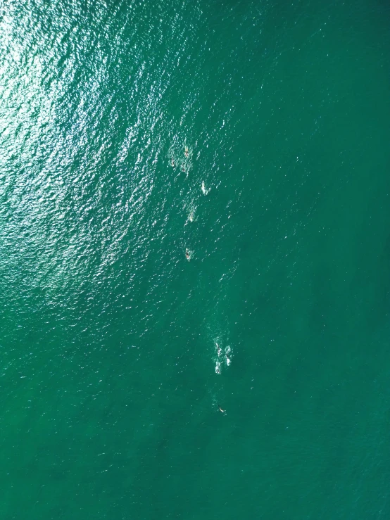 a group of boats floating on top of a ocean