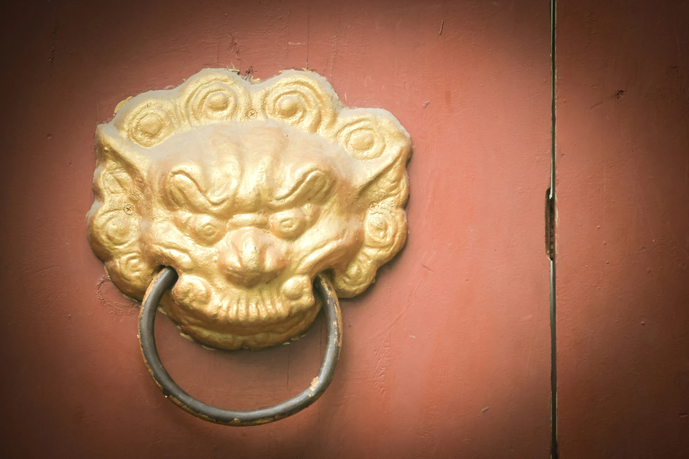 a lion head door knock with a ring on the handle