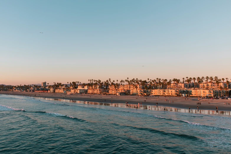 a beautiful day at the beach with a long row of palm trees in the back