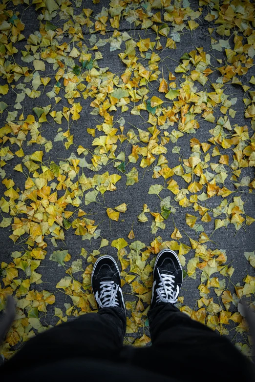 someone's feet on yellow leaves on a floor