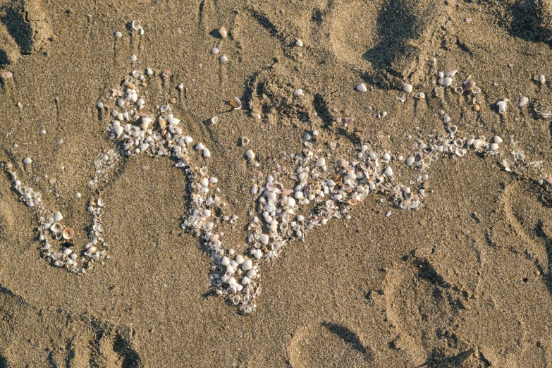 the letters d and o made from rocks are on the beach