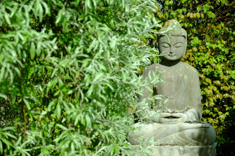 a statue in a sitting position with trees around it