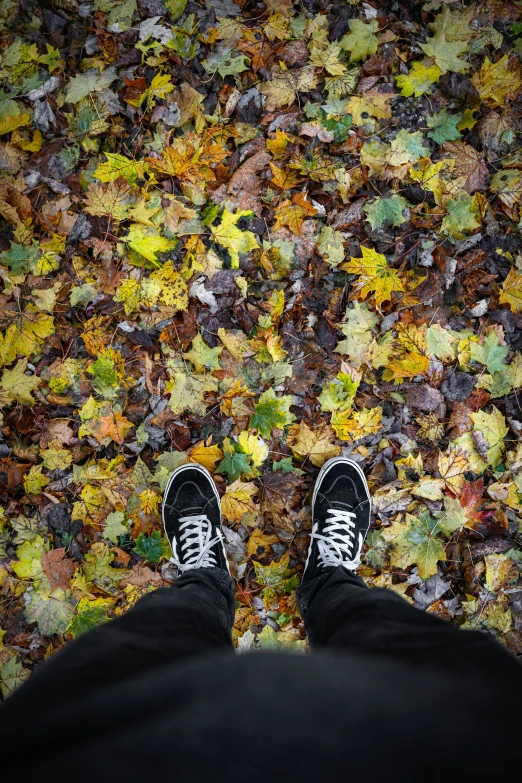 a man standing in front of a pile of autumn leaves