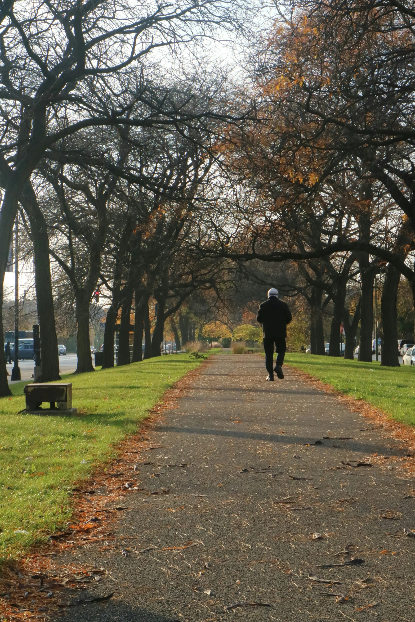 a man walks down the road on a leaf - free path