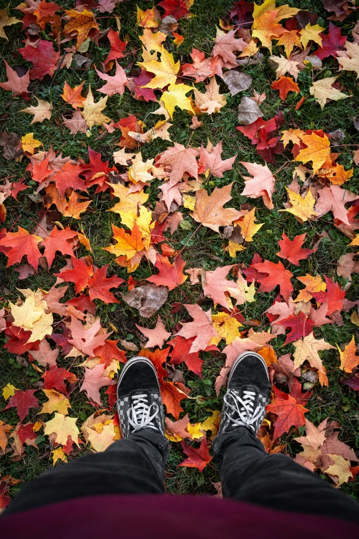 person in sneakers standing on grass with autumn leaves