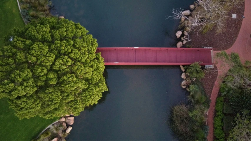 a bridge is shown surrounded by trees near the water