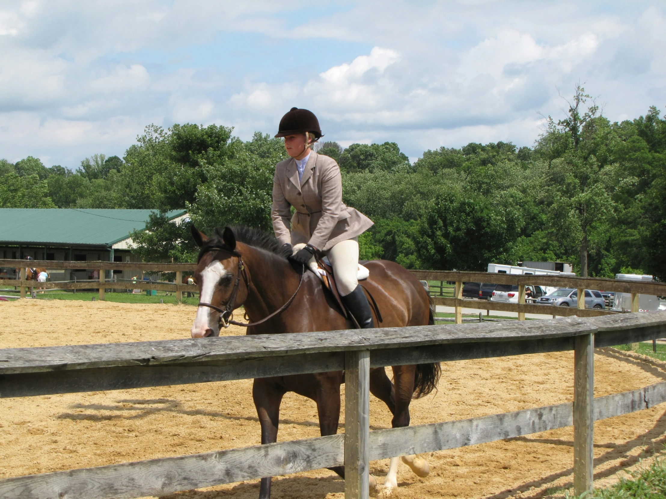 a girl on a brown horse standing on the fence