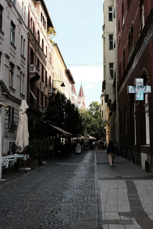 the people are walking along the narrow brick street