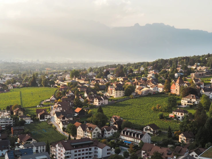 the city of a german countryside with a green mountain behind it