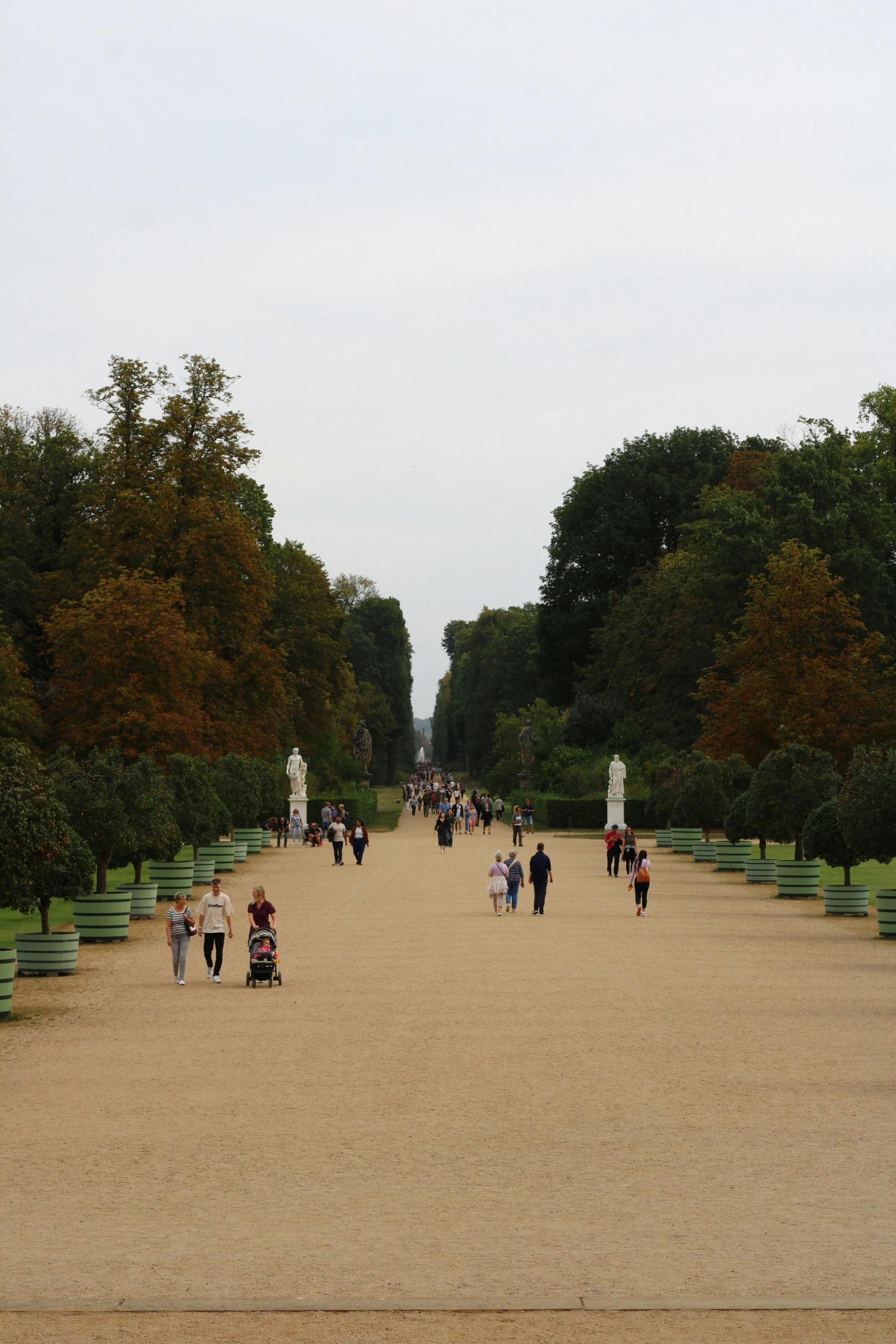 many people are walking in the sand near a few bushes