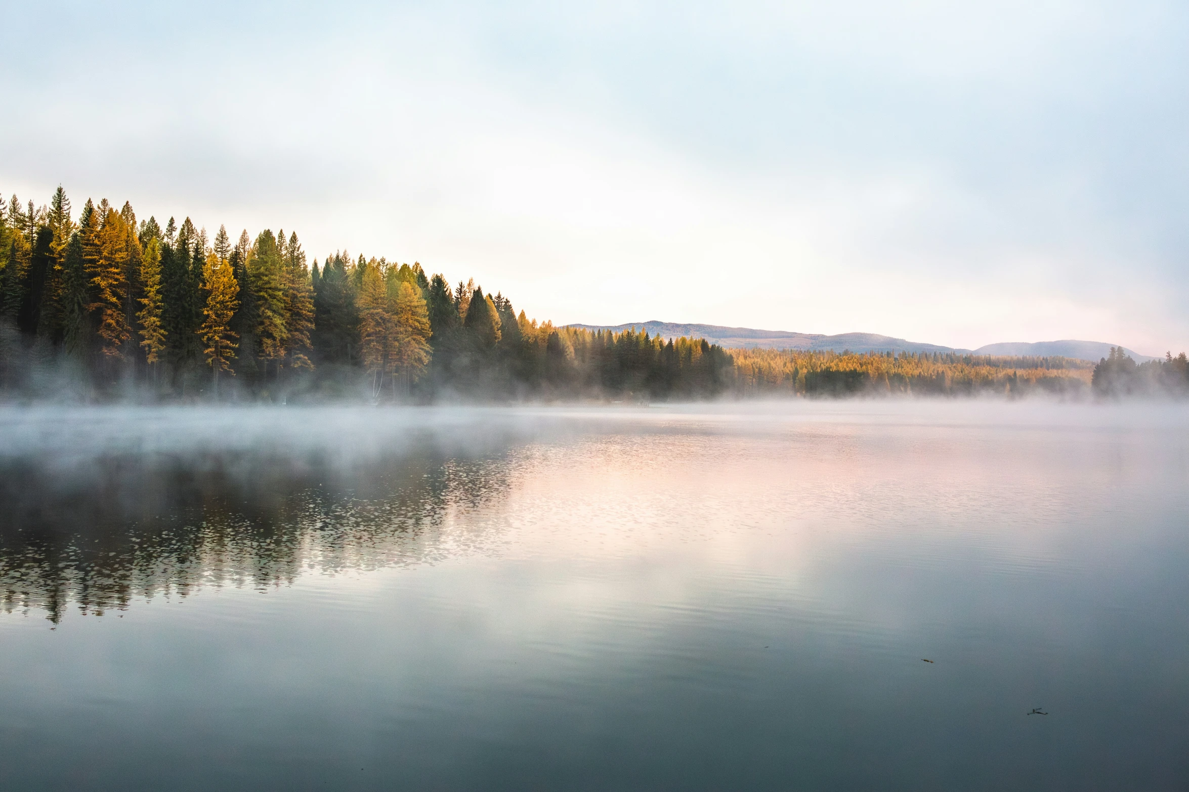a lake in the forest during a foggy day