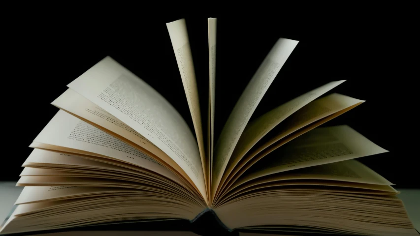open book, black background, opened pages, empty page