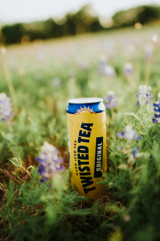 an open can of beer in a field full of flowers