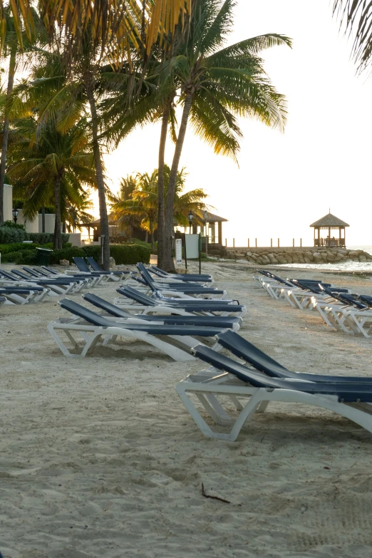 rows of lounge chairs lined up on a tropical beach