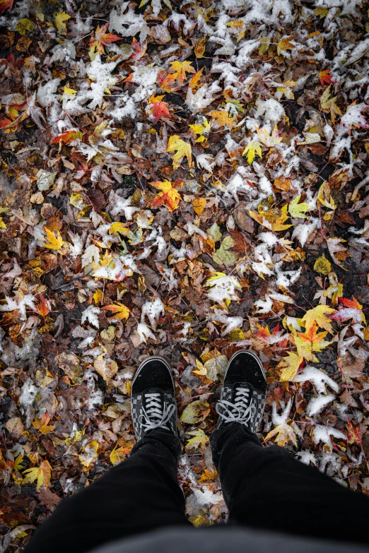 a person standing on the ground surrounded by leaves