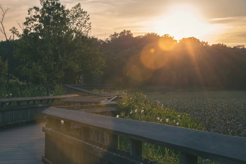 sun setting on a small bridge in a field