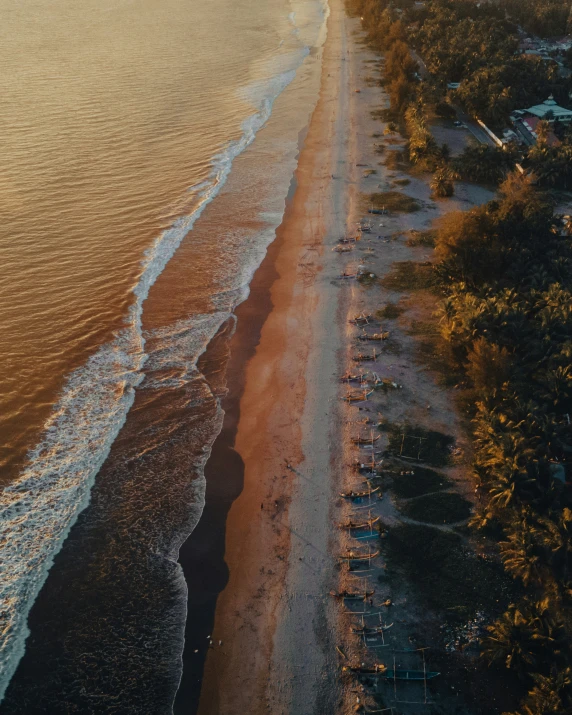 an aerial view of an orange beach next to a forest