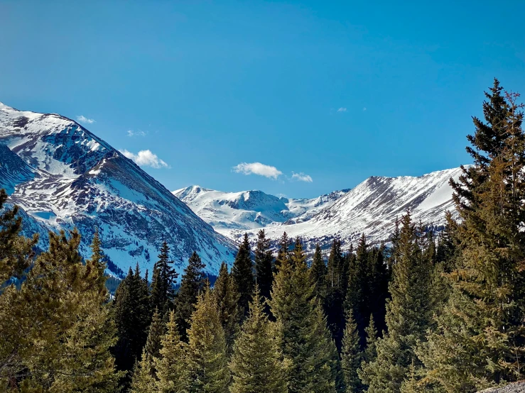 the mountain range is full of snow covered trees