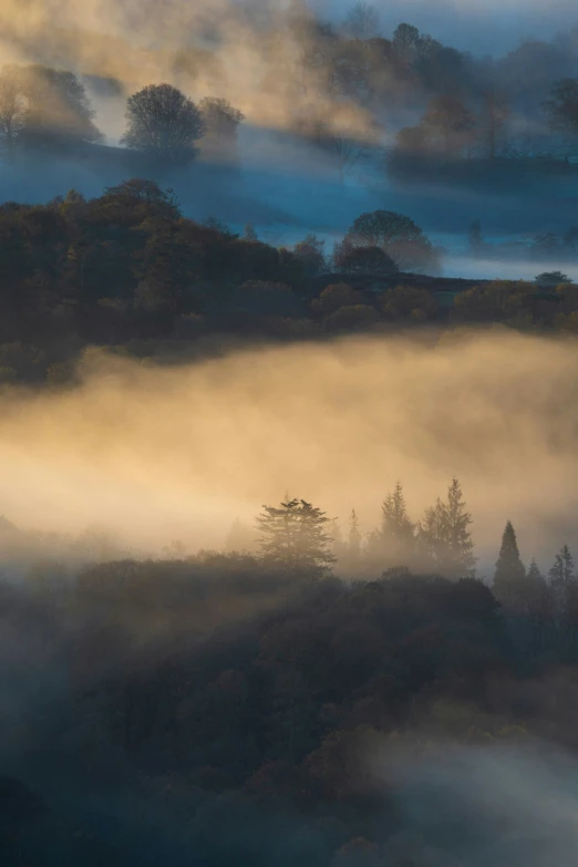 a cloud covered landscape is shown, with trees on the horizon