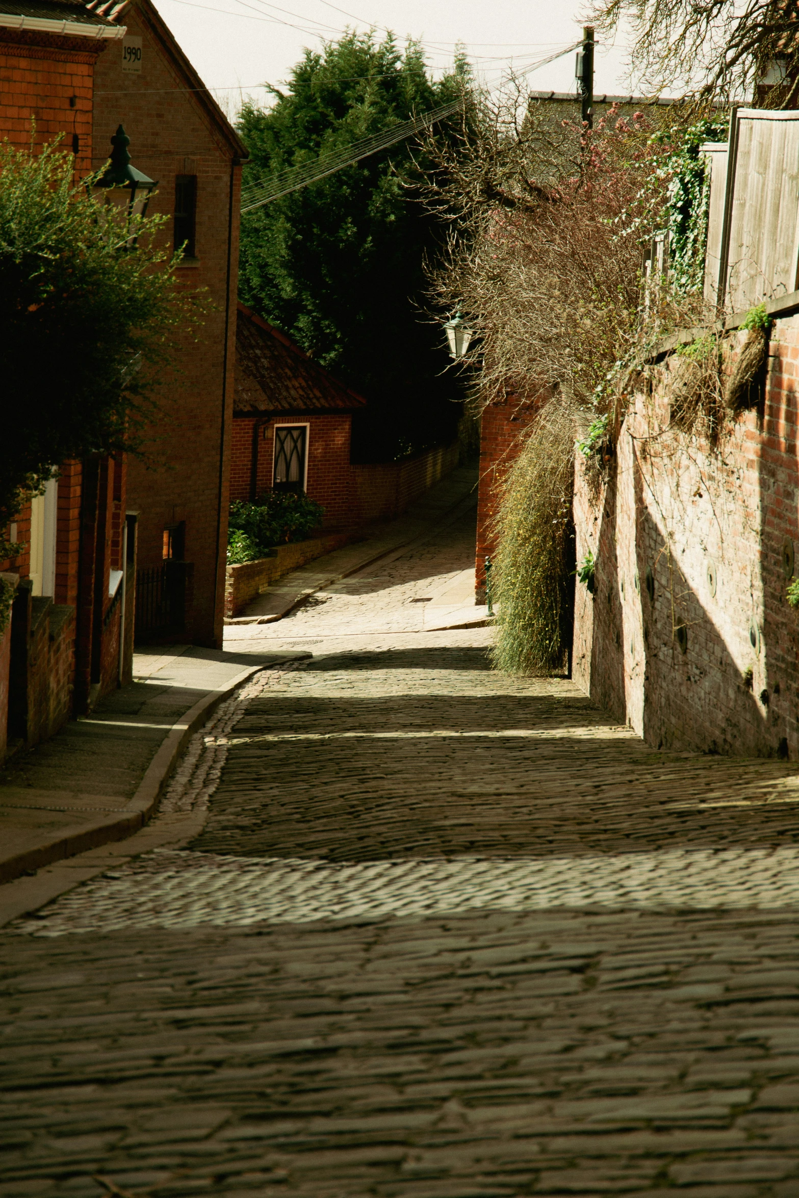 street scene with cobblestone road, trees and buildings