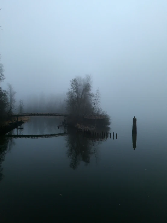 a body of water sitting between two trees and mist