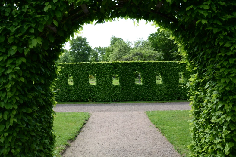 a pathway leads into a large hedge archway