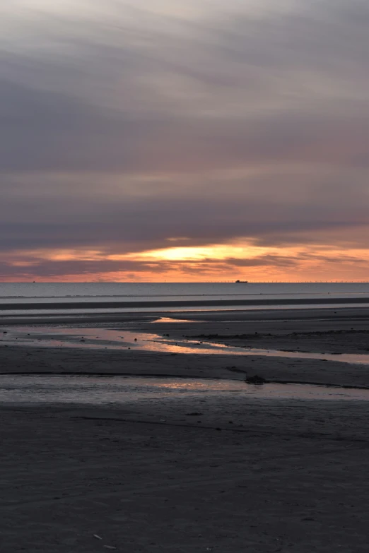 a bird standing on the beach at sunset