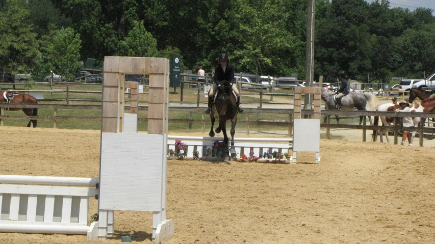 a person riding on a horse inside of a fence