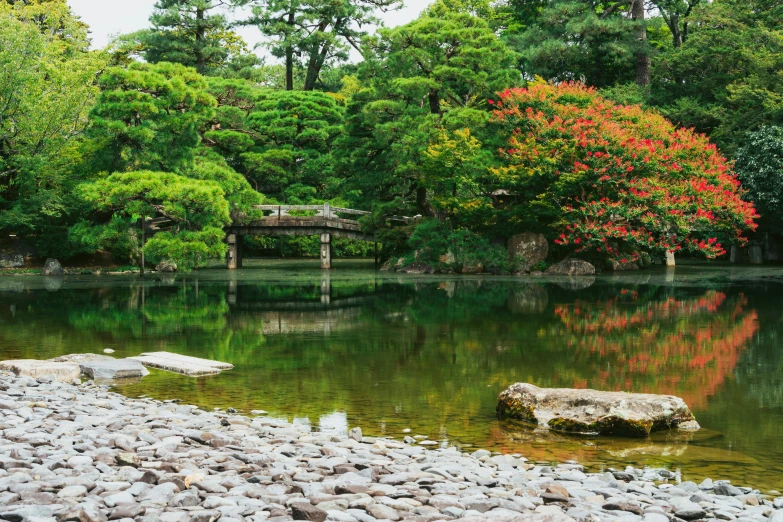 a water feature with rocks around it near green trees