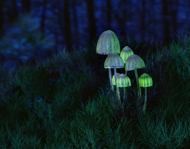 a bunch of mushrooms glowing in the grass