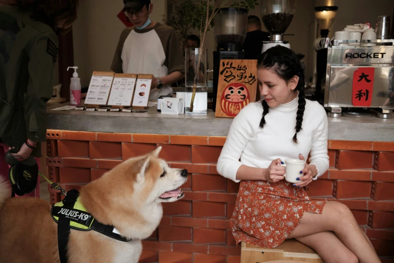 a woman sitting at a counter with a dog