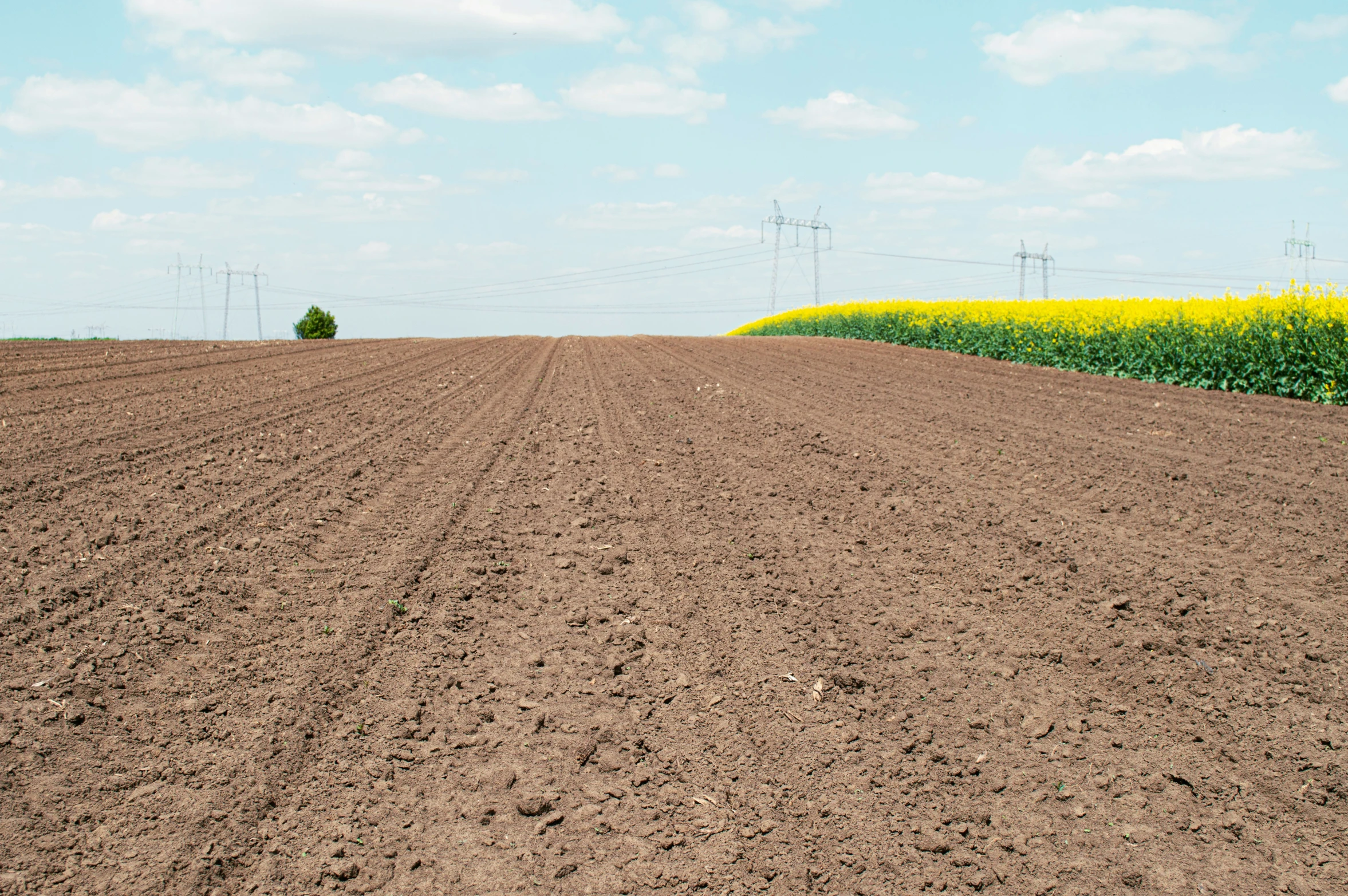 an empty field with many plants and wires near it