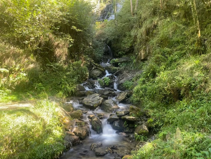 small stream in a mountainous valley surrounded by green trees