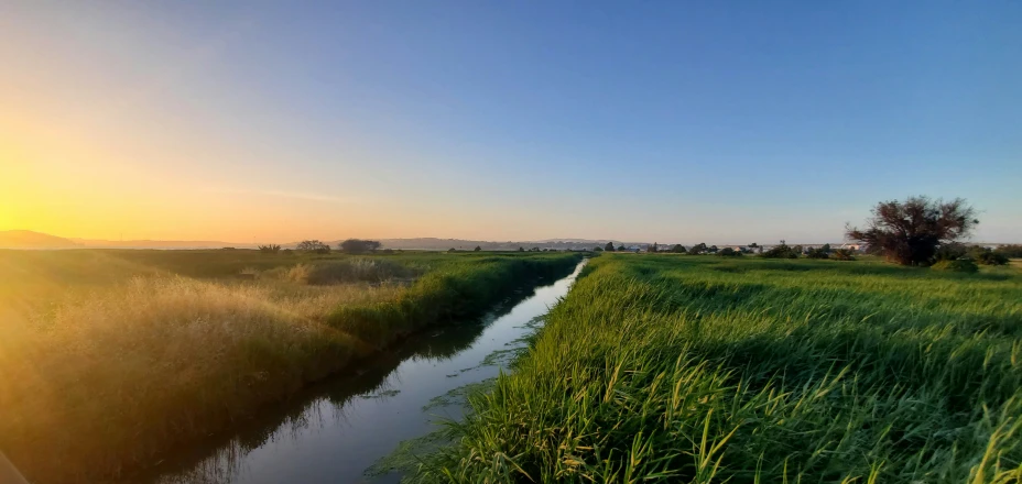 a body of water surrounded by grass near the shore