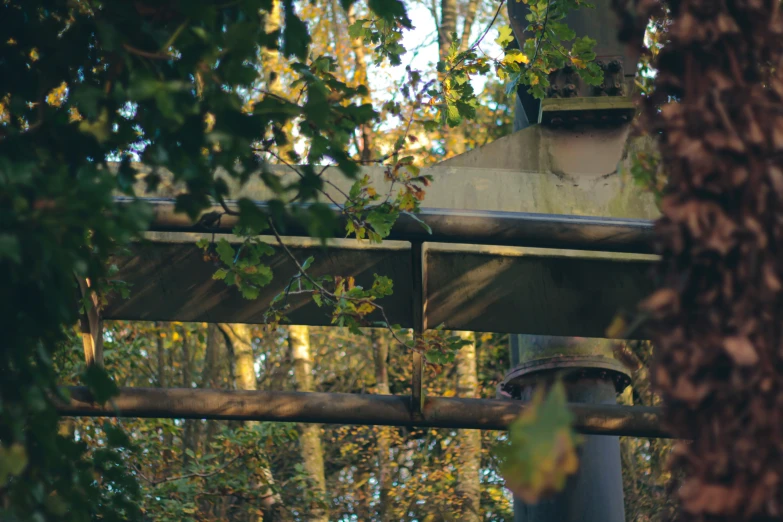 a bench with a sign hanging from it sitting in the woods